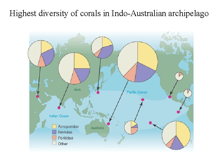 Highest diversity of corals in Indo-Australian archipelago 