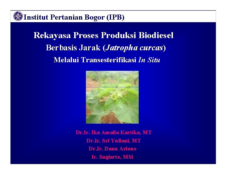 Institut Pertanian Bogor (IPB) Rekayasa Proses Produksi Biodiesel Berbasis Jarak (Jatropha curcas) Melalui Transesterifikasi