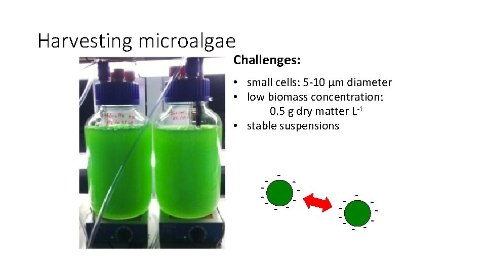 Harvesting microalgae Challenges: • small cells: 5 -10 µm diameter • low biomass concentration: