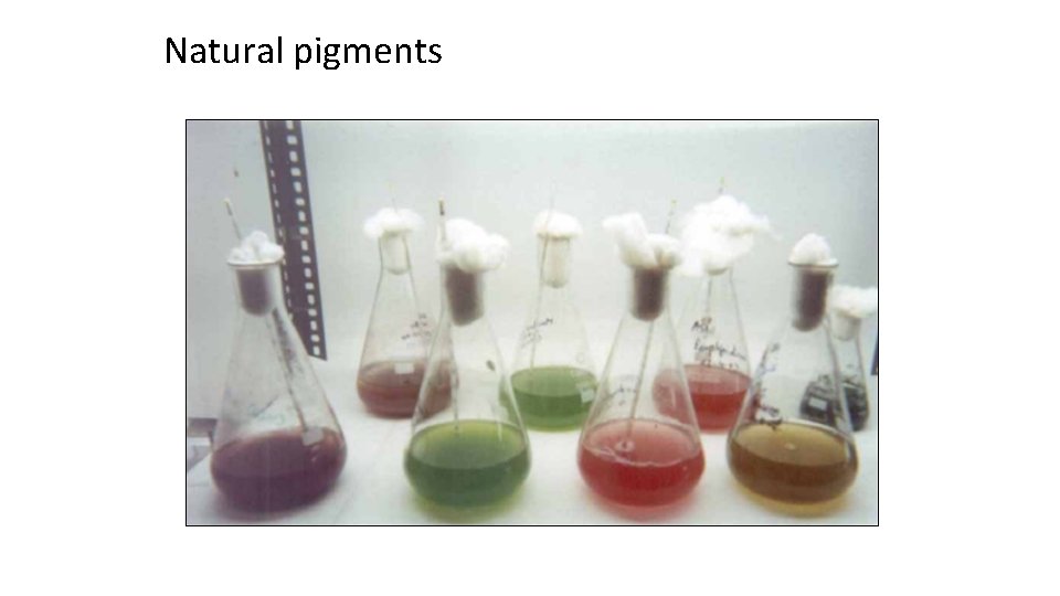 Natural pigments 