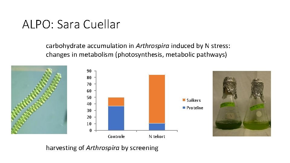 ALPO: Sara Cuellar carbohydrate accumulation in Arthrospira induced by N stress: changes in metabolism