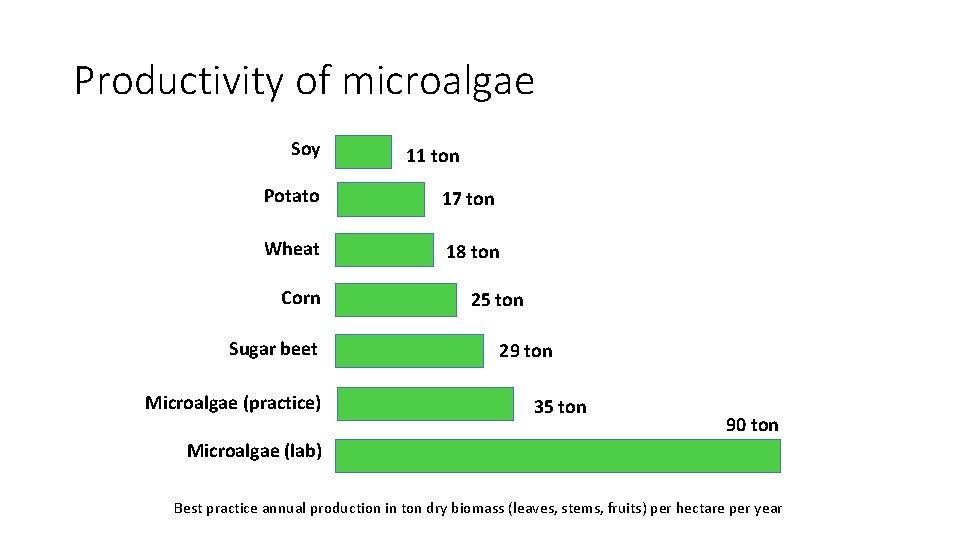 Productivity of microalgae Soy 11 ton Potato 17 ton Wheat 18 ton Corn Sugar