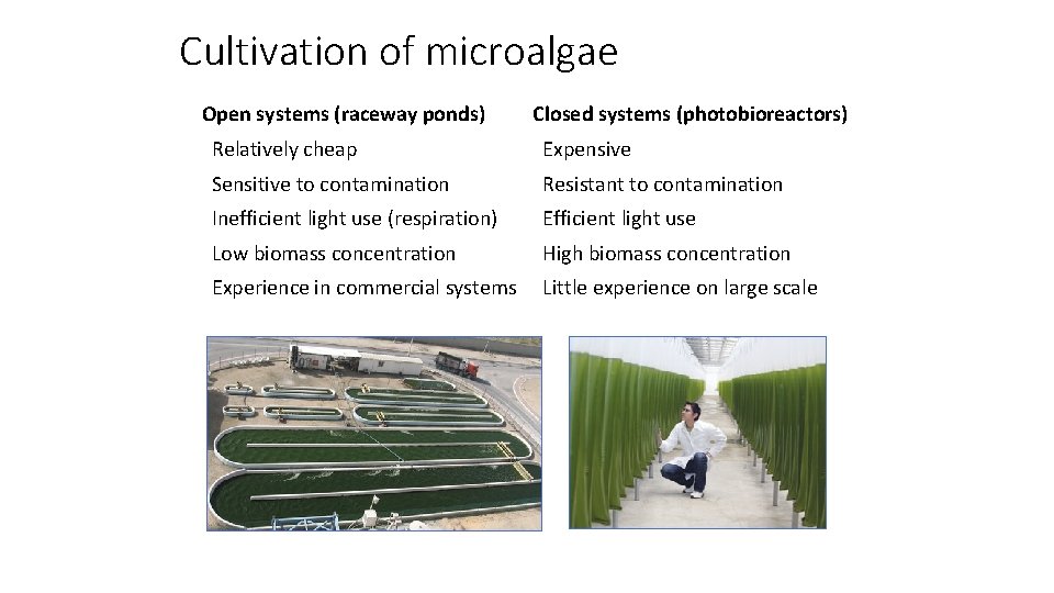 Cultivation of microalgae Open systems (raceway ponds) Closed systems (photobioreactors) Relatively cheap Expensive Sensitive