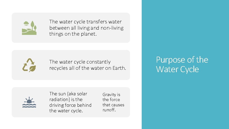 The water cycle transfers water between all living and non-living things on the planet.