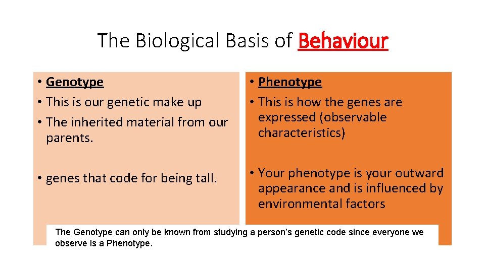 The Biological Basis of Behaviour • Genotype • This is our genetic make up