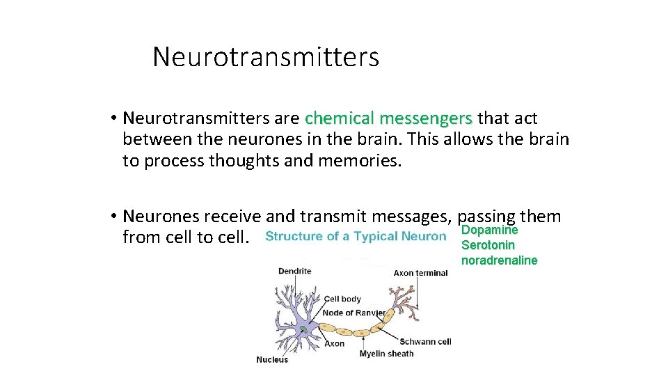 Neurotransmitters • Neurotransmitters are chemical messengers that act between the neurones in the brain.