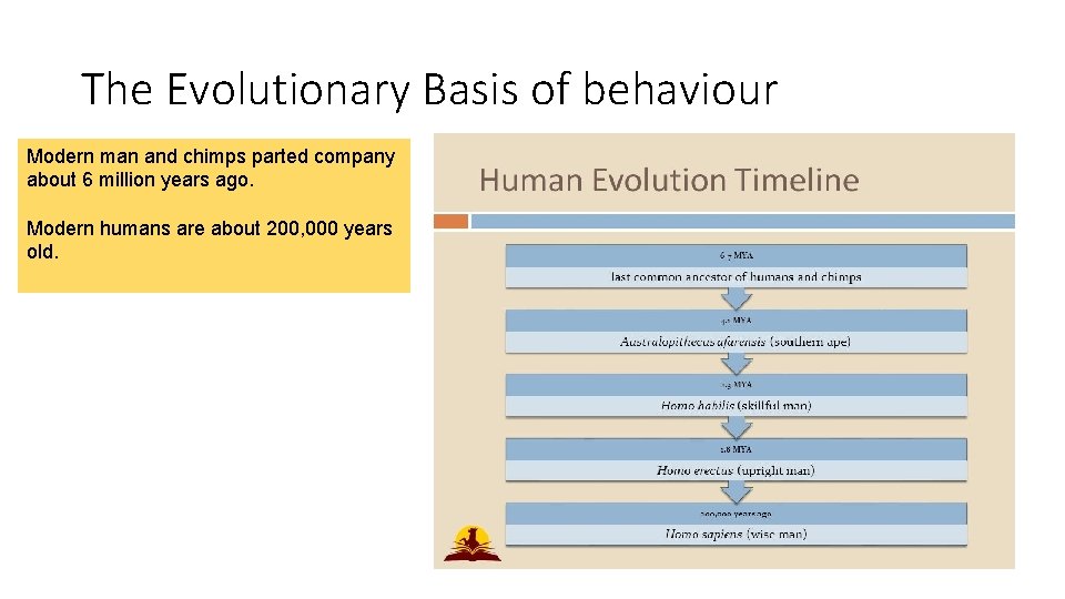 The Evolutionary Basis of behaviour Modern man and chimps parted company about 6 million