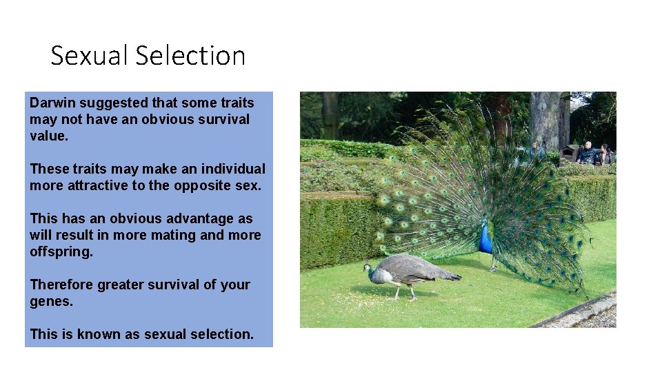 Sexual Selection Darwin suggested that some traits may not have an obvious survival value.