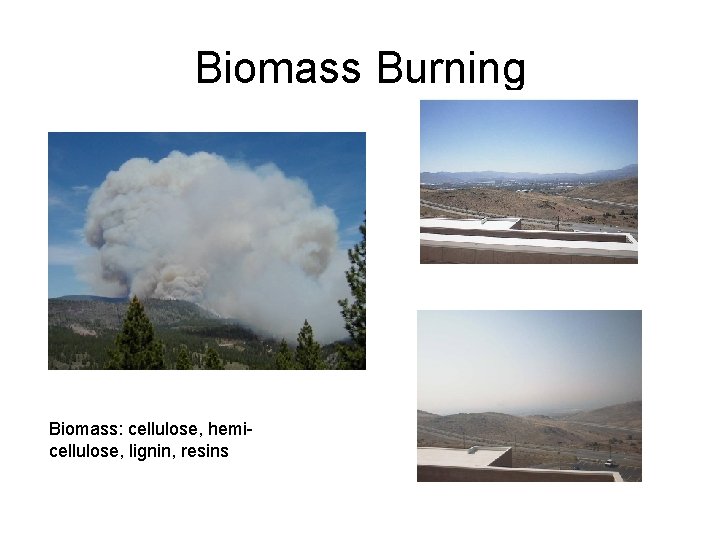 Biomass Burning Biomass: cellulose, hemicellulose, lignin, resins 