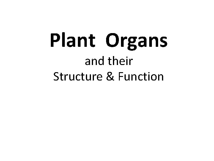 Plant Organs and their Structure & Function 