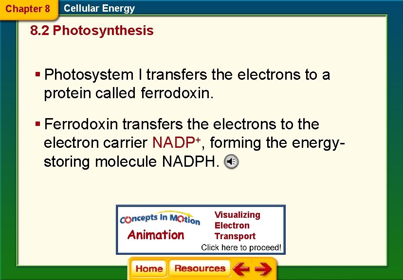 Chapter 8 Cellular Energy 8. 2 Photosynthesis § Photosystem I transfers the electrons to