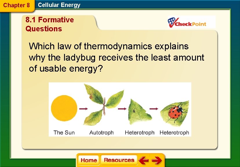 Chapter 8 Cellular Energy 8. 1 Formative Questions Which law of thermodynamics explains why