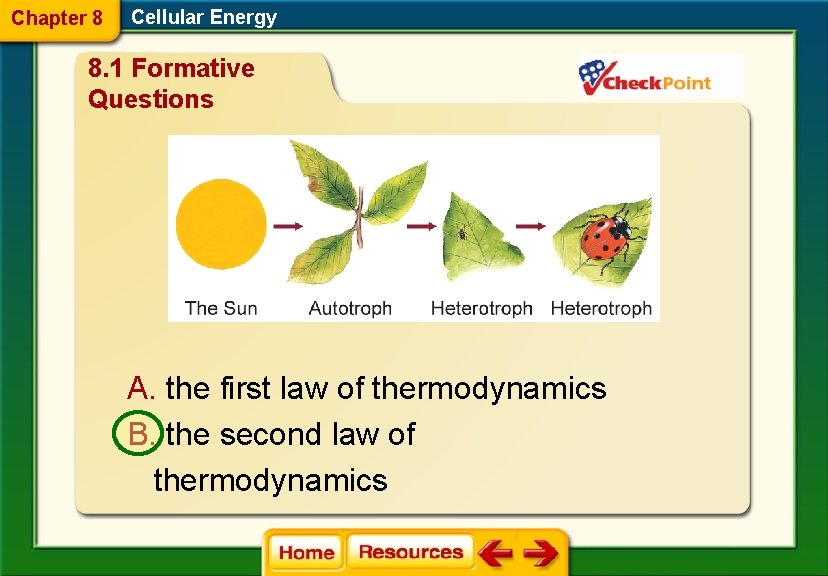 Chapter 8 Cellular Energy 8. 1 Formative Questions A. the first law of thermodynamics