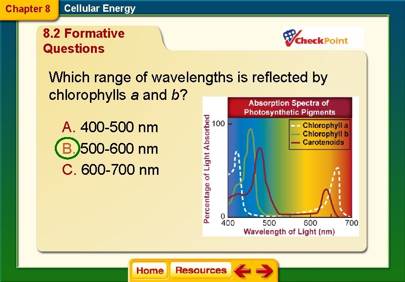 Chapter 8 Cellular Energy 8. 2 Formative Questions Which range of wavelengths is reflected