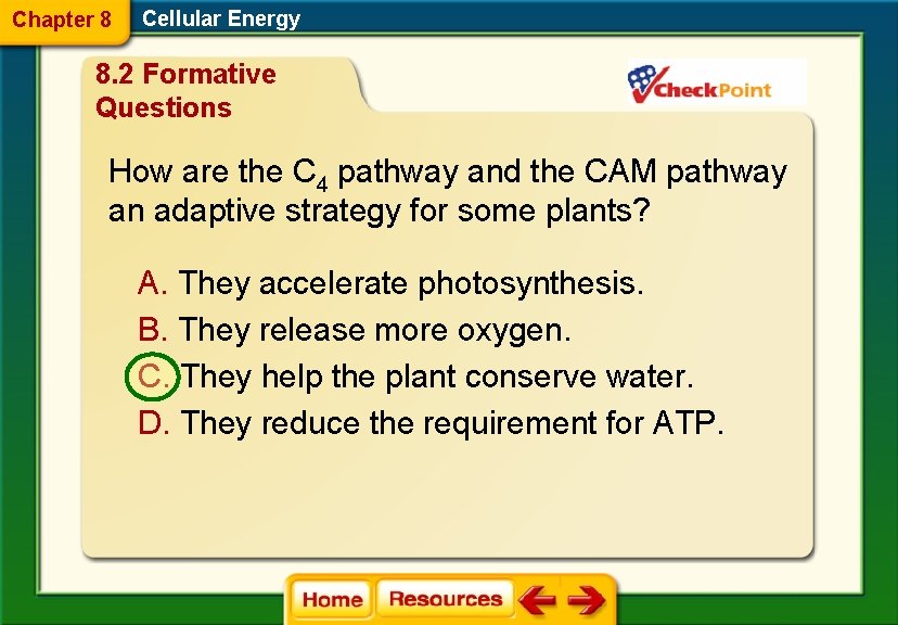 Chapter 8 Cellular Energy 8. 2 Formative Questions How are the C 4 pathway