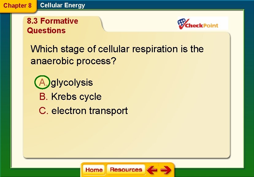 Chapter 8 Cellular Energy 8. 3 Formative Questions Which stage of cellular respiration is