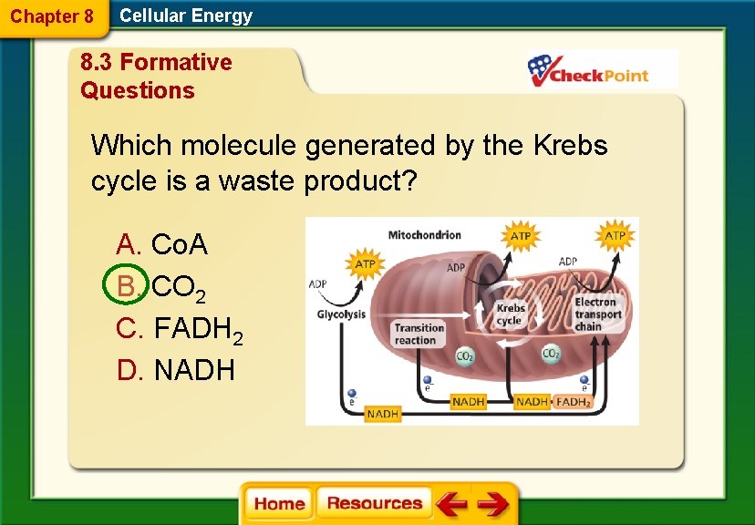 Chapter 8 Cellular Energy 8. 3 Formative Questions Which molecule generated by the Krebs