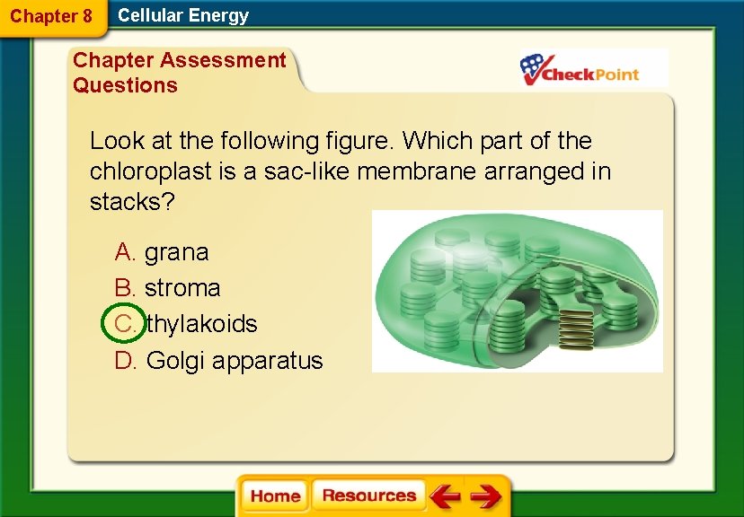Chapter 8 Cellular Energy Chapter Assessment Questions Look at the following figure. Which part