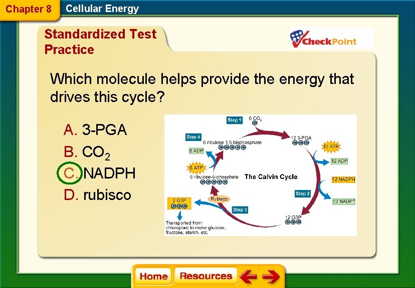 Chapter 8 Cellular Energy Standardized Test Practice Which molecule helps provide the energy that