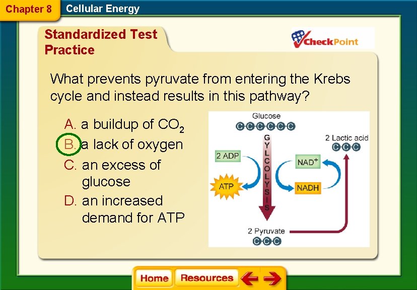 Chapter 8 Cellular Energy Standardized Test Practice What prevents pyruvate from entering the Krebs