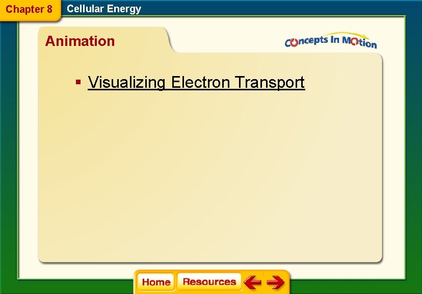 Chapter 8 Cellular Energy Animation § Visualizing Electron Transport 