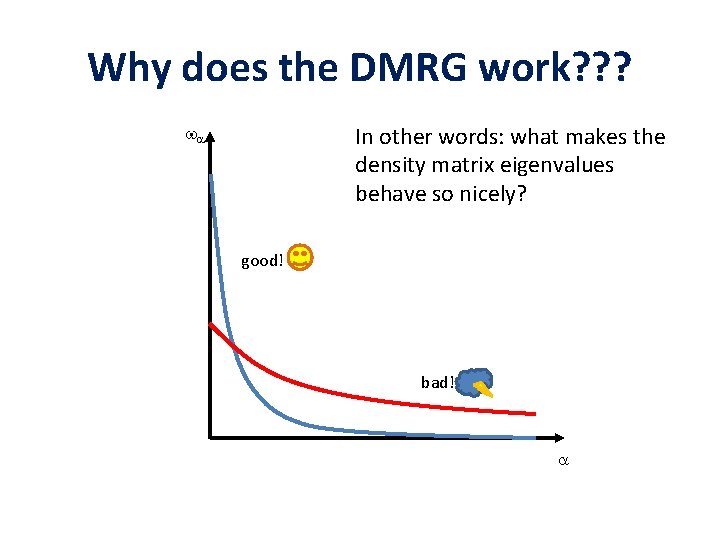 Why does the DMRG work? ? ? In other words: what makes the density