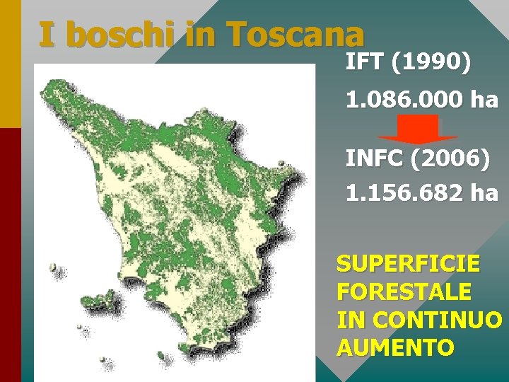 I boschi in Toscana IFT (1990) 1. 086. 000 ha INFC (2006) 1. 156.