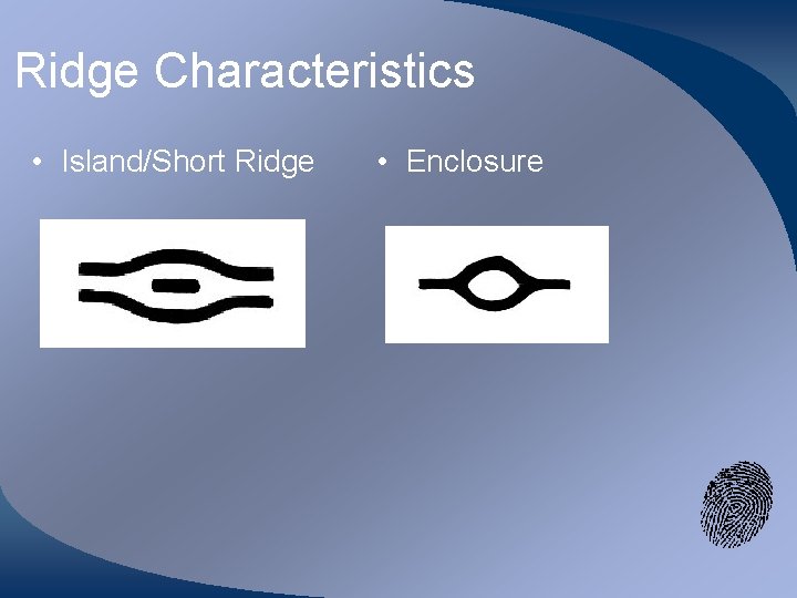 Ridge Characteristics • Island/Short Ridge • Enclosure 