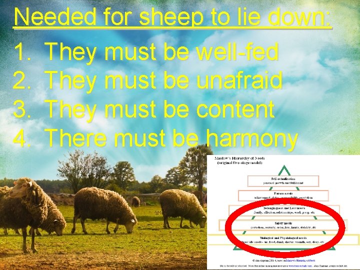 (A Psalm of is my Needed for. David) sheep. The to LORD lie down: