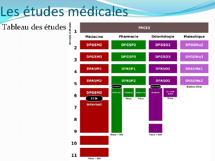 Les études médicales Tableau des études 