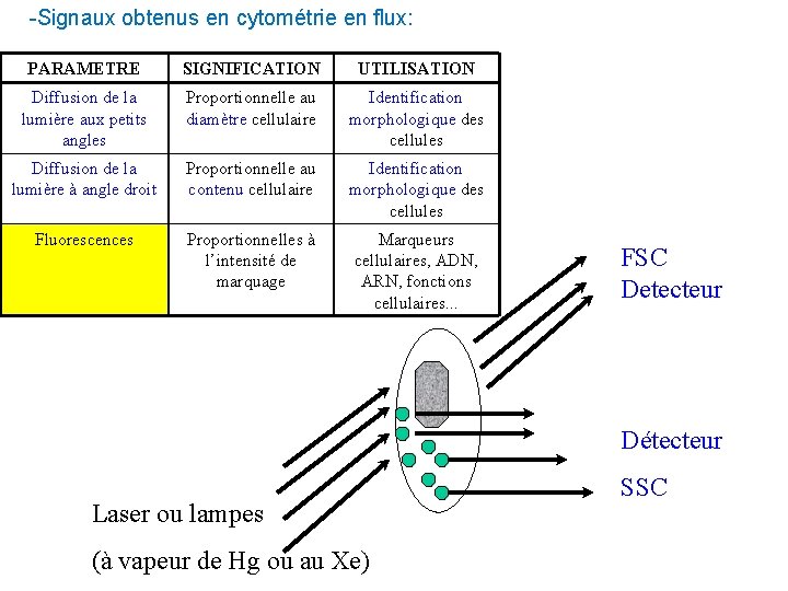 -Signaux obtenus en cytométrie en flux: PARAMETRE SIGNIFICATION UTILISATION Diffusion de la lumière aux