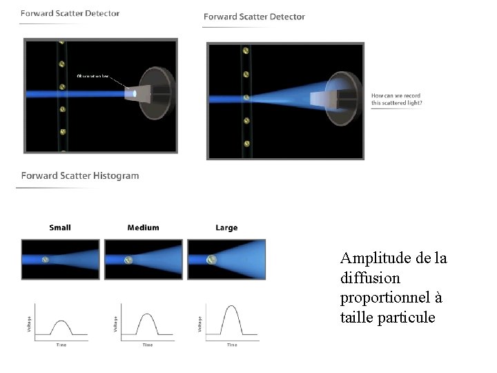 Amplitude de la diffusion proportionnel à taille particule 