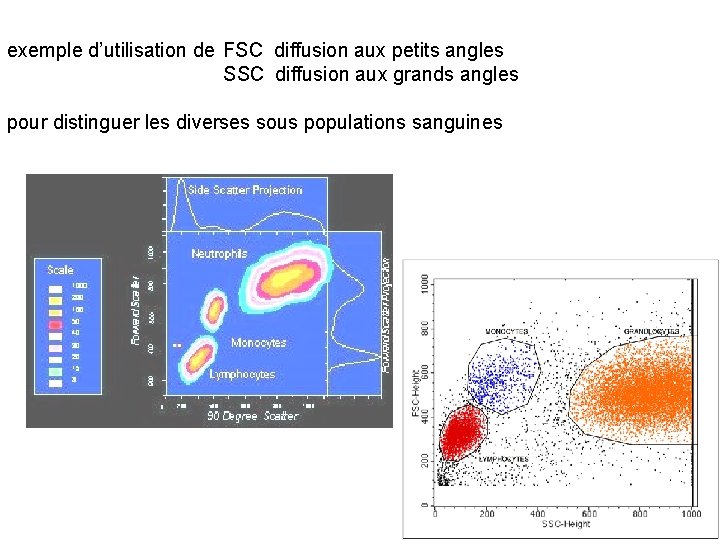 exemple d’utilisation de FSC diffusion aux petits angles SSC diffusion aux grands angles pour