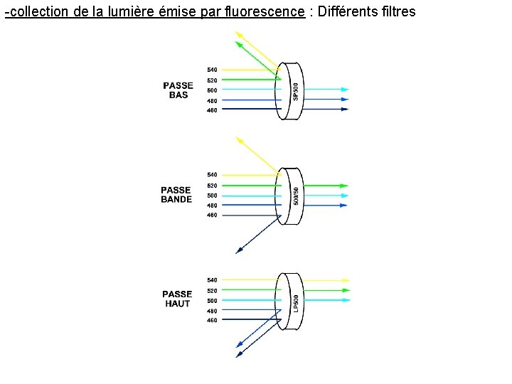 -collection de la lumière émise par fluorescence : Différents filtres 