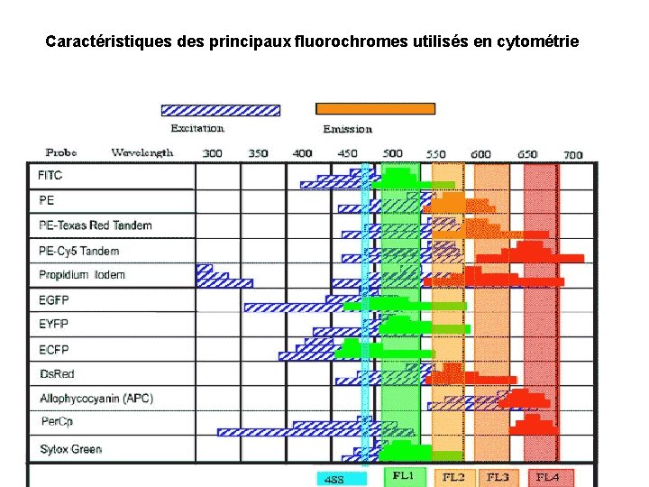 Caractéristiques des principaux fluorochromes utilisés en cytométrie 