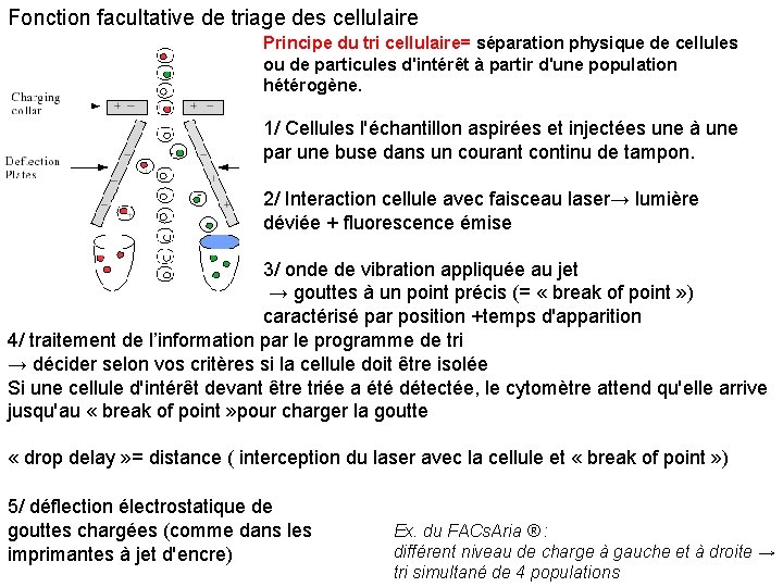 Fonction facultative de triage des cellulaire Principe du tri cellulaire= séparation physique de cellules