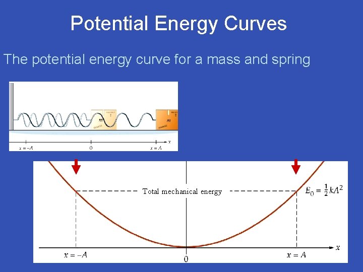 Potential Energy Curves The potential energy curve for a mass and spring Total mechanical