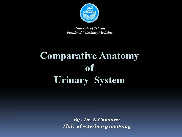 University of Tehran Faculty of Veterinary Medicine Comparative Anatomy of Urinary System By :