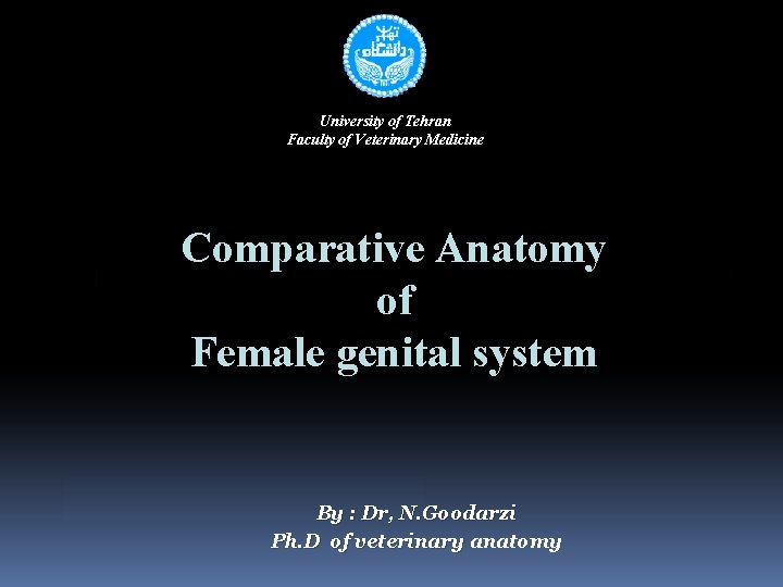 University of Tehran Faculty of Veterinary Medicine Comparative Anatomy of Female genital system By