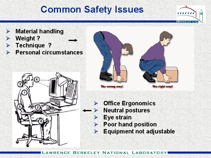 Common Safety Issues Ø Ø Material handling Weight ? Technique ? Personal circumstances Ø