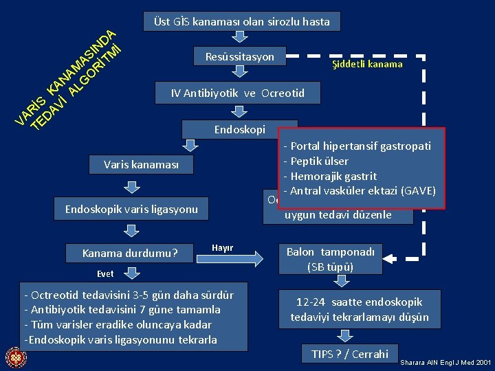 A D İ IN M S A İT M A OR N LG A