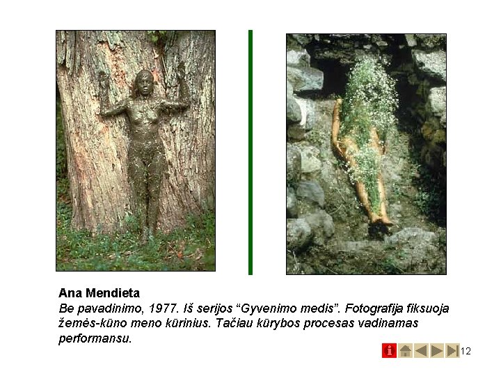 Ana Mendieta Be pavadinimo, 1977. Iš serijos “Gyvenimo medis”. Fotografija fiksuoja žemės-kūno meno kūrinius.