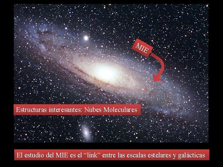 MI E Estructuras interesantes: Nubes Moleculares El estudio del MIE es el “link” entre