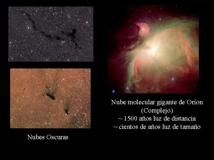 Nube molecular gigante de Orion (Complejo) ~ 1500 años luz de distancia ~ cientos