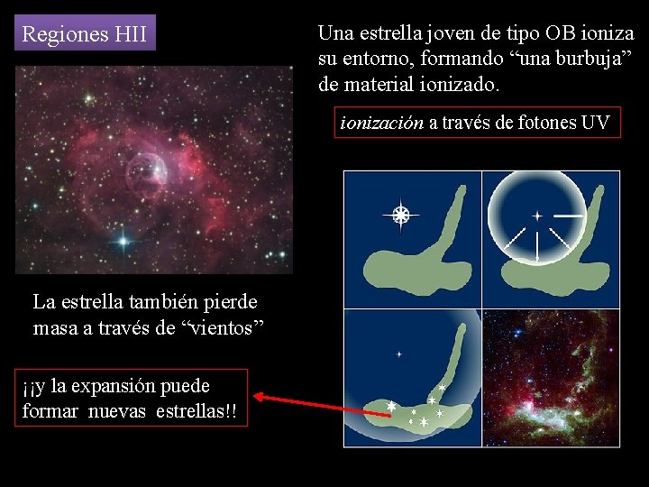 Regiones HII Una estrella joven de tipo OB ioniza su entorno, formando “una burbuja”