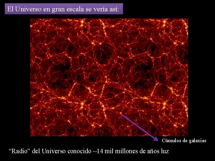 El Universo en gran escala se vería así: Cúmulos de galaxias “Radio” del Universo