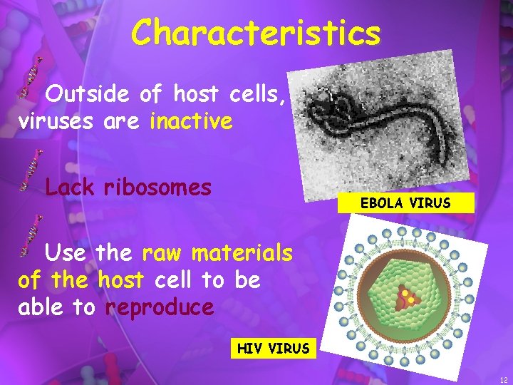 Characteristics Outside of host cells, viruses are inactive Lack ribosomes EBOLA VIRUS Use the