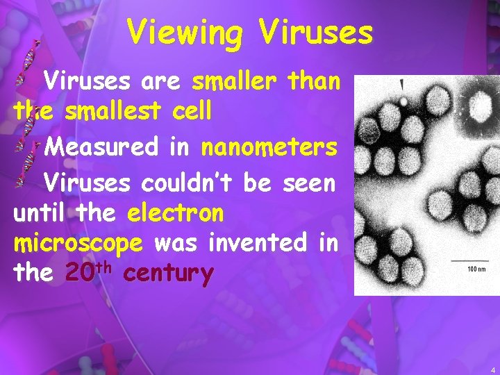 Viewing Viruses are smaller than the smallest cell Measured in nanometers Viruses couldn’t be