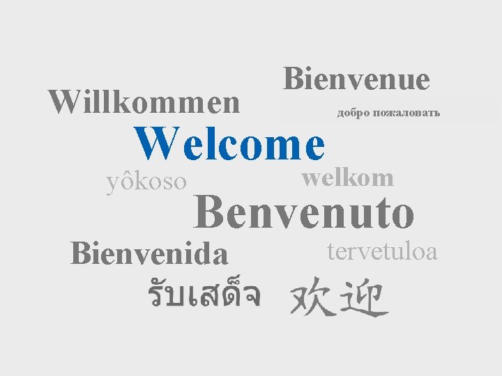 Willkommen Bienvenue добро пожаловать Welcome welkom yôkoso Benvenuto Bienvenida tervetuloa 