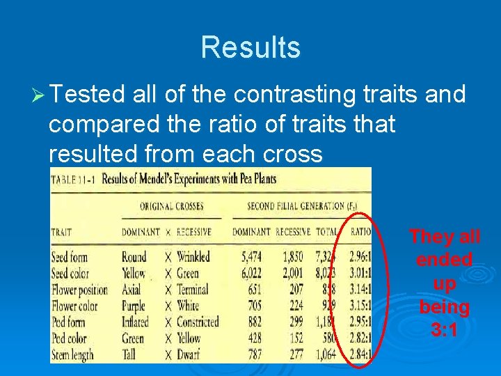 Results Ø Tested all of the contrasting traits and compared the ratio of traits